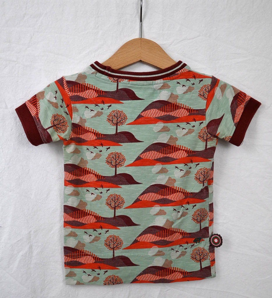 T-shirt, 4 funky flavours, 18/24 maanden - Extra 1