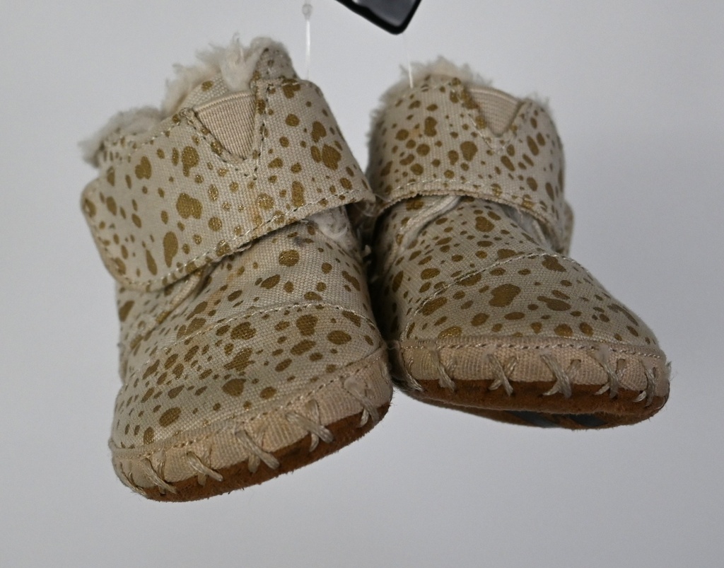 Schoentjes, TOMS, 17,5 -PI - 3