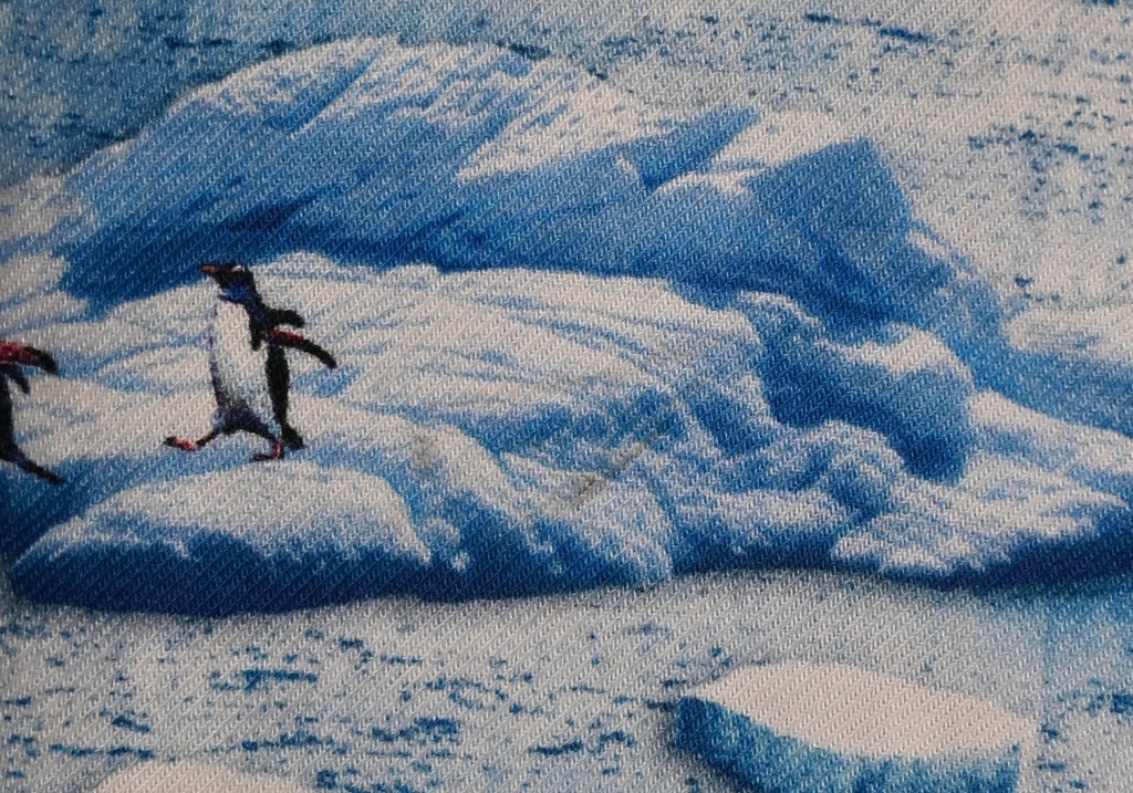 Blouse, Saints & Bullies, 6 jaar -PI - 3