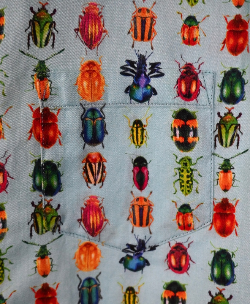 Hemd, Filou & Friends, 8 jaar - 3