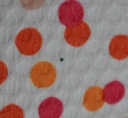Zomerkleedje, JBC, 9 jaar - PI - 3