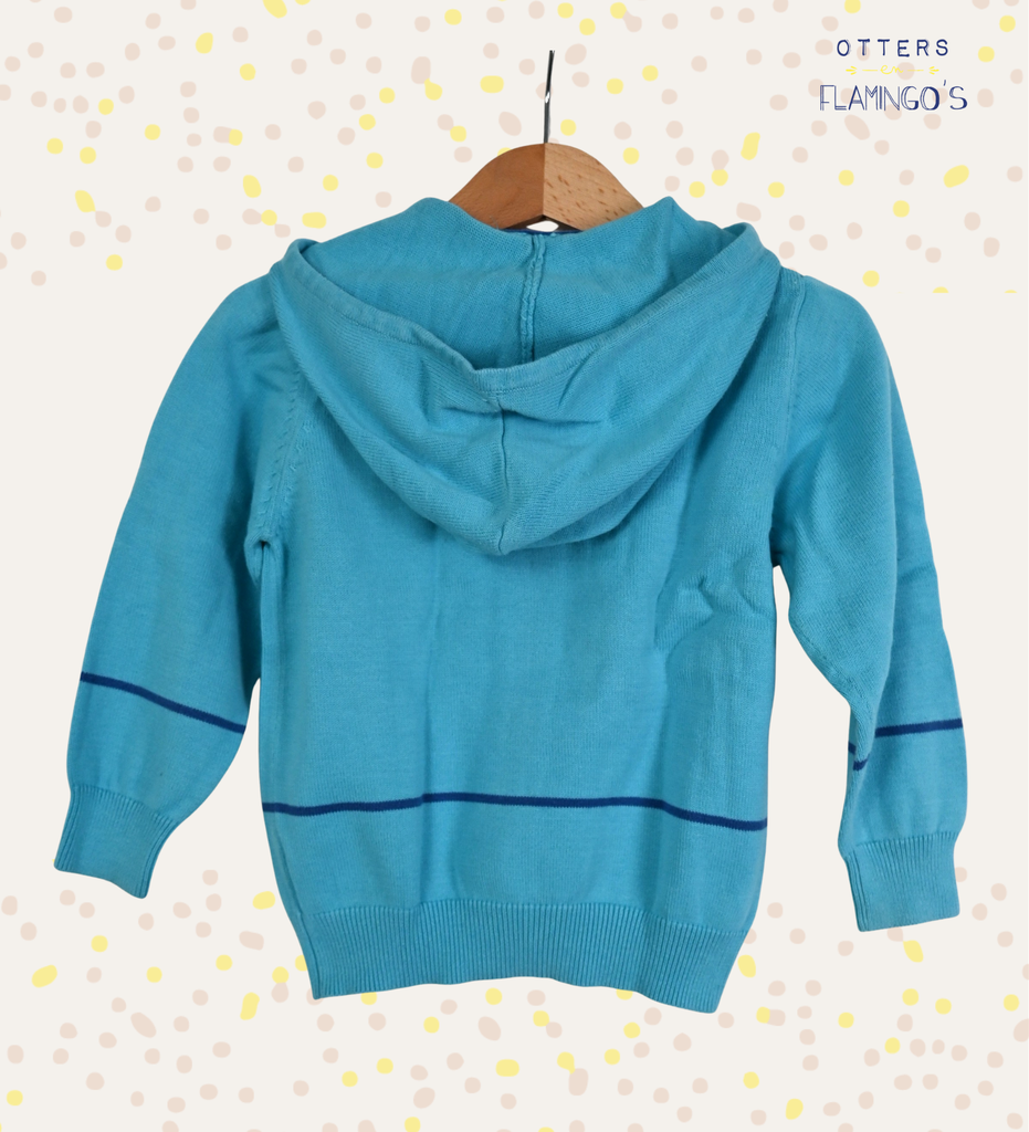 Hooded cardigan, P'tit Filou, 2 jaar - 2