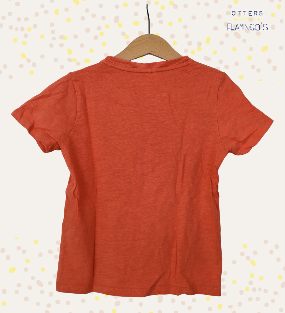 T-shirt, name it, 6 jaar - 2