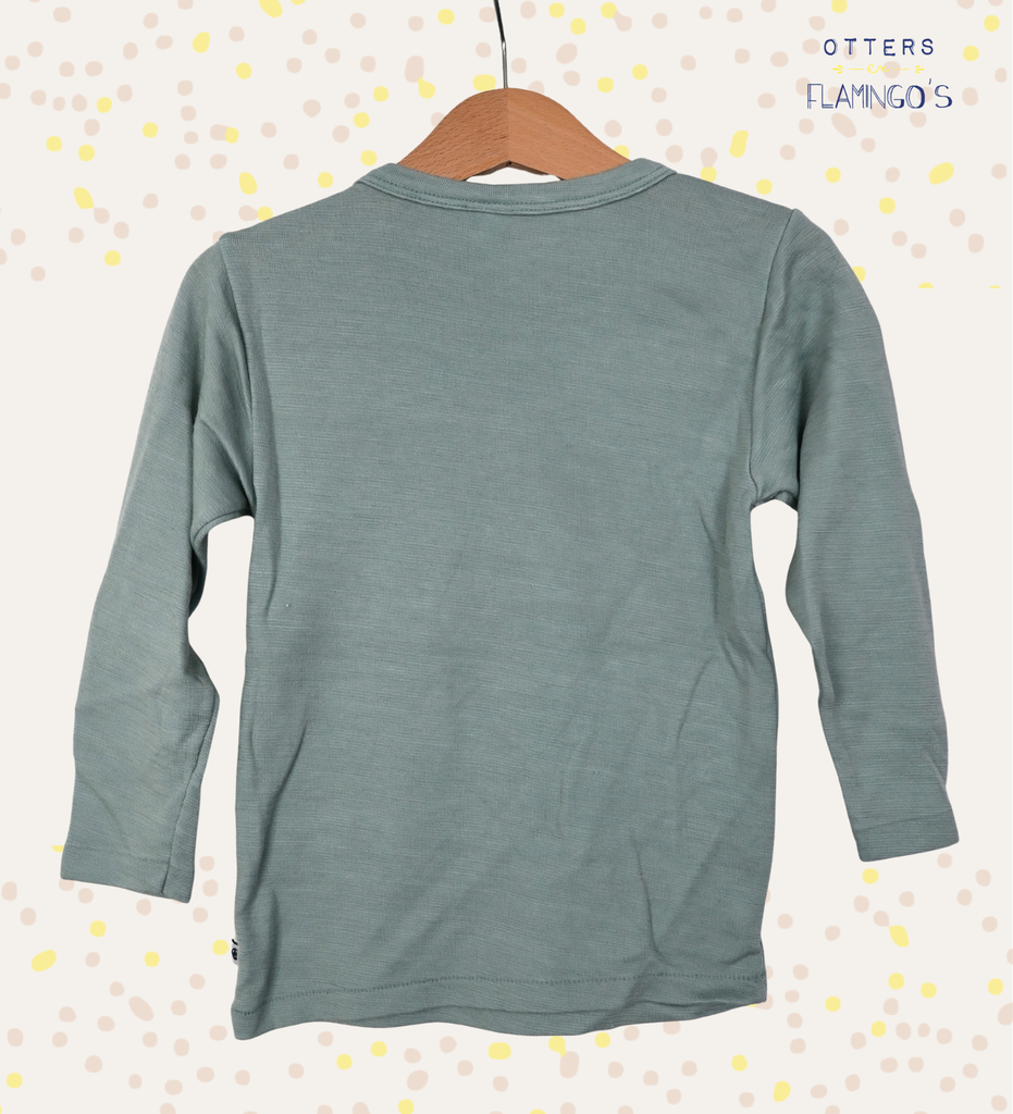 Onderhemd, Petit Bateau, 5 jaar - 2