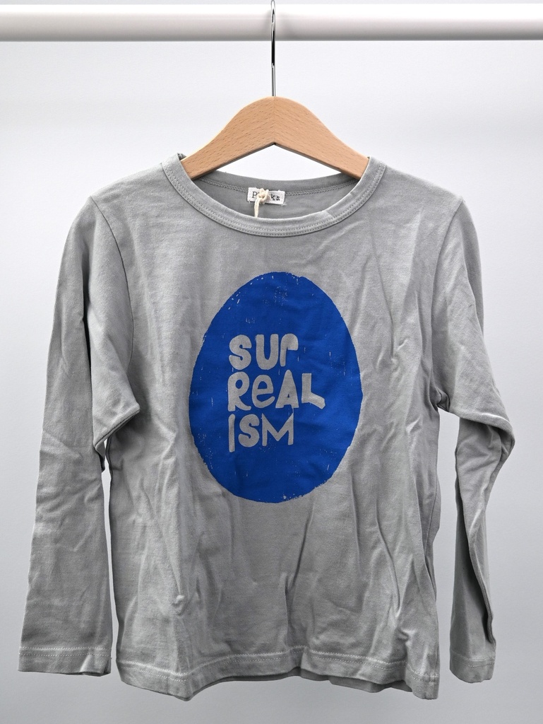 [SRE109] Longsleeve T-shirt, Picnik, 5 jaar