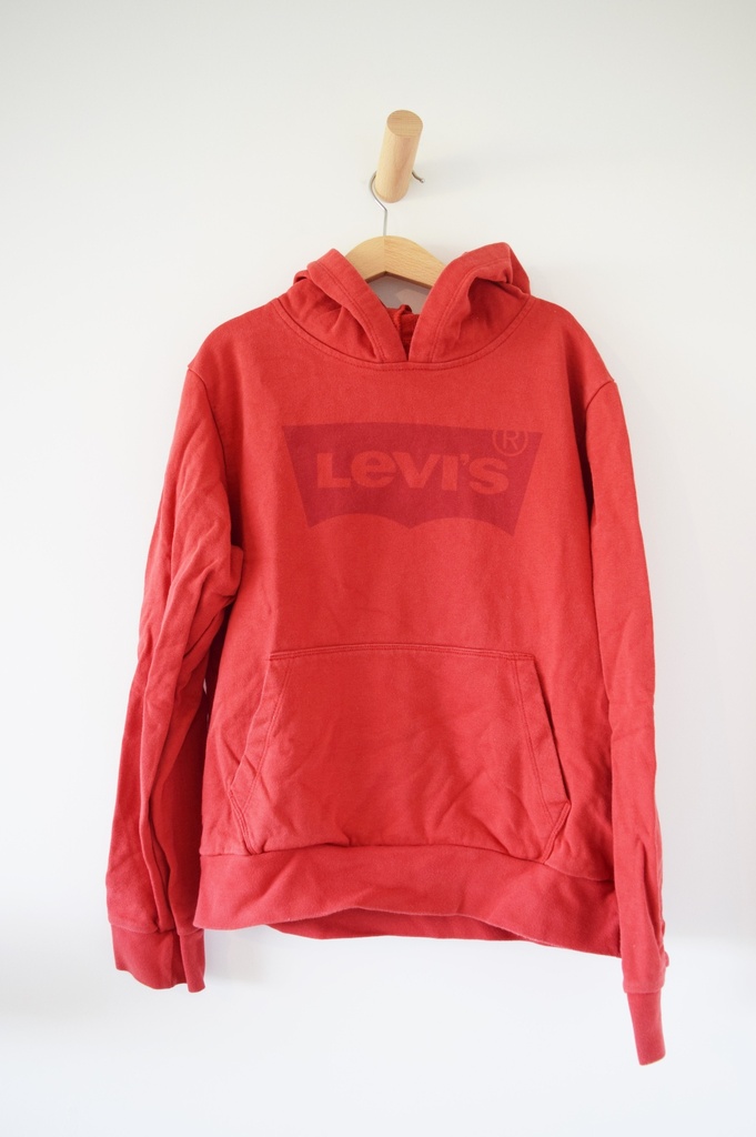 [NTU166] Hoodie, Levi's, 12 jaar