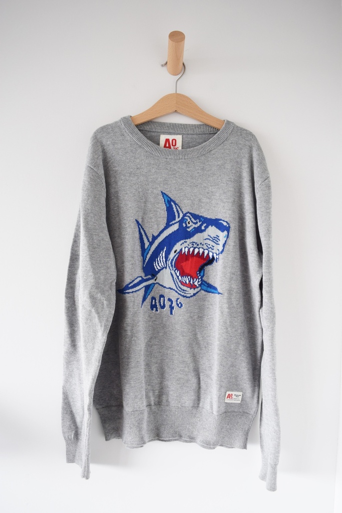 [NTU128] Trui, American Outfitters, 14 jaar