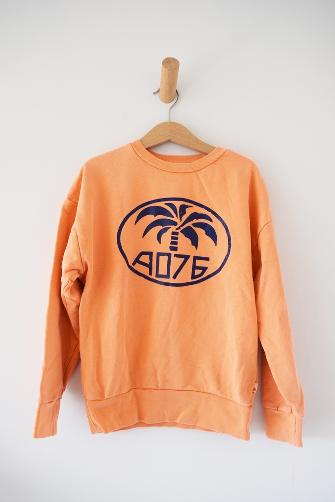 [NTU116] Sweater, American Outfitters, 10jaar