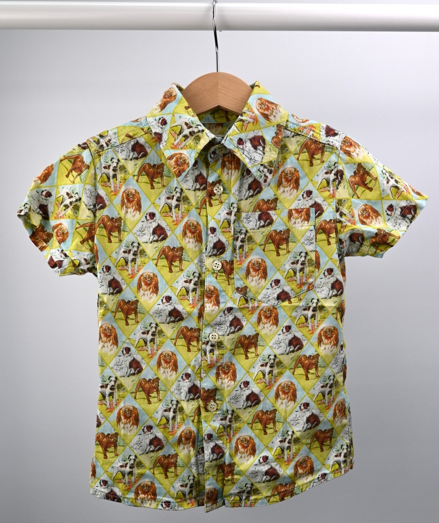 [NDB043] Hemd, Zorra, 6 jaar