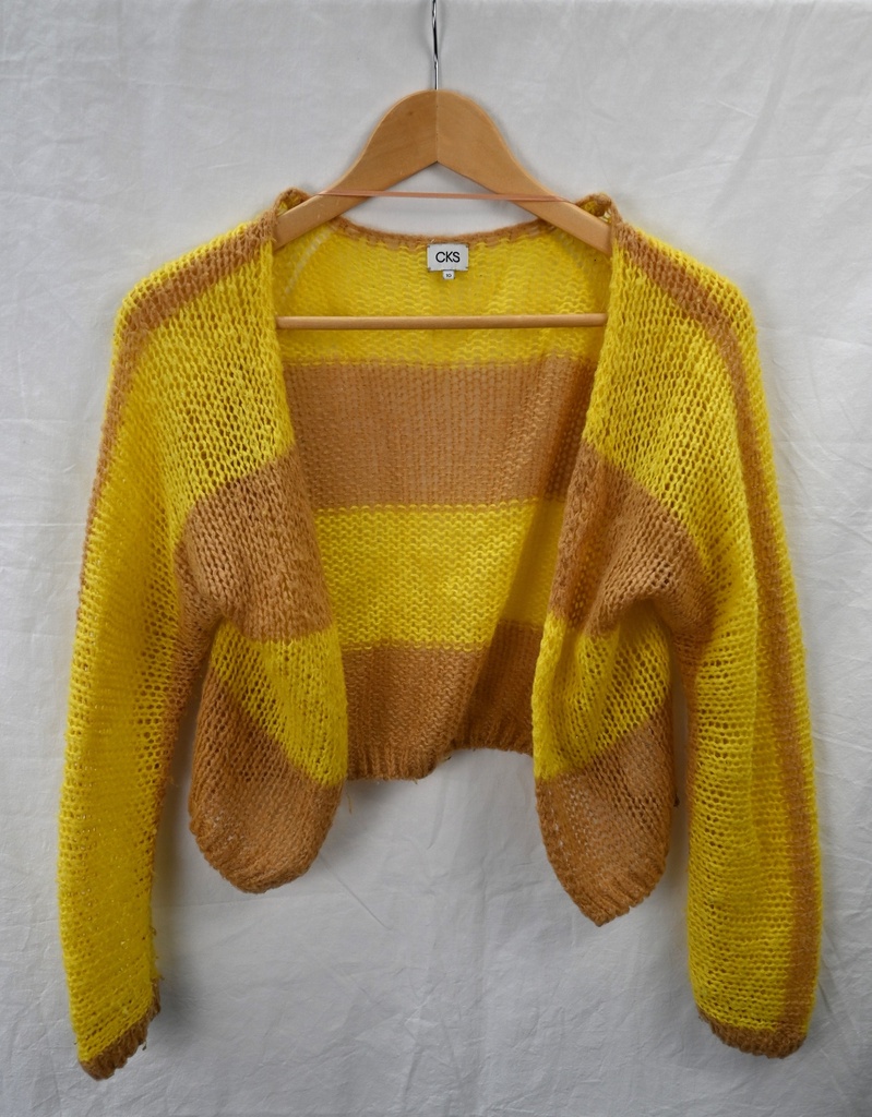 Cardigan, CKS, 10 jaar