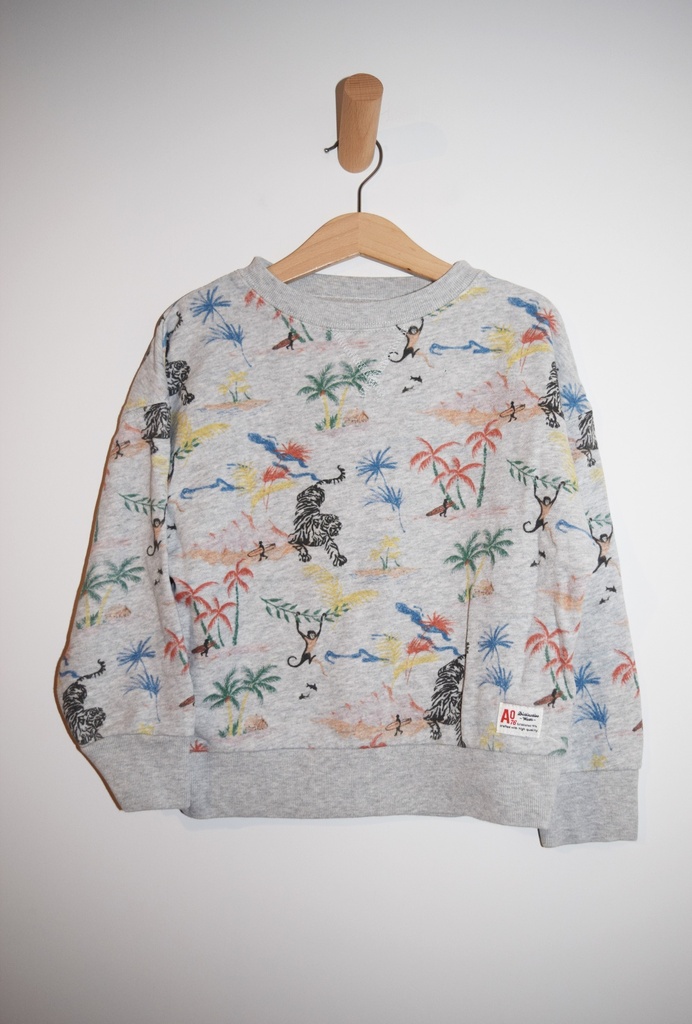[LII024] Sweater, American Outfitters,  6 jaar