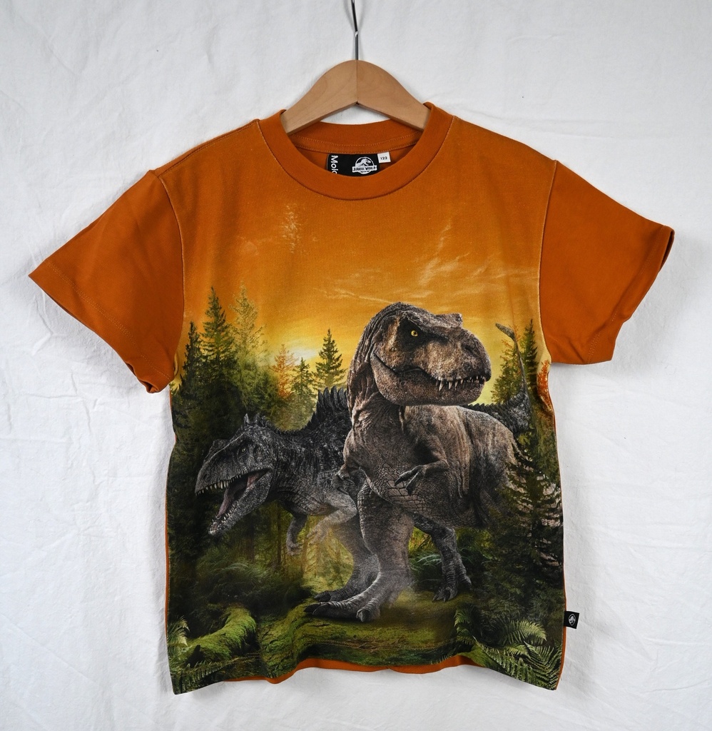 [LES010] T-shirt, Molo, 7 jaar