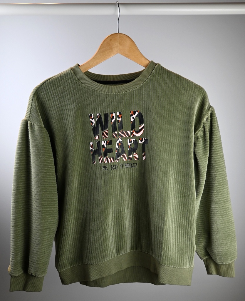 [HLO007] Sweater, Me and My Monkey, 14/15 jaar