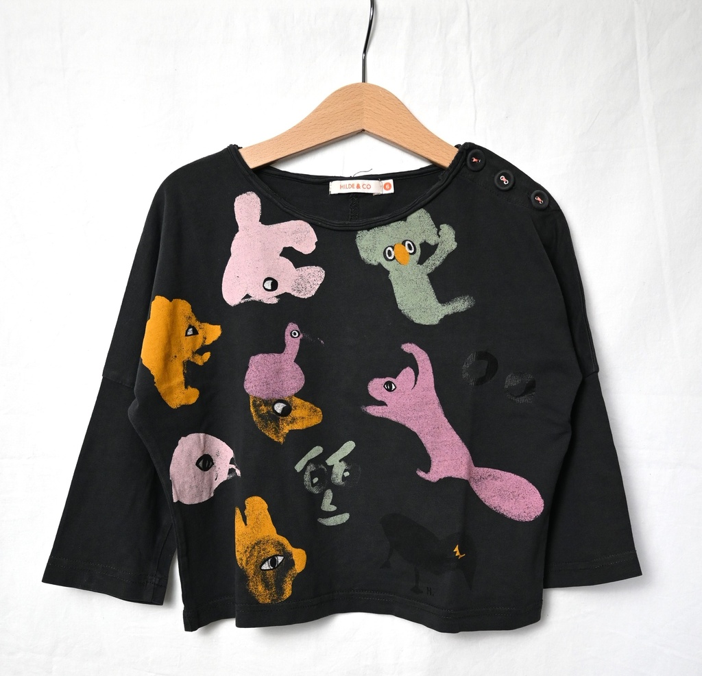 [ESE012] Longsleeve T-shirt, Hilde & Co, 6 jaar