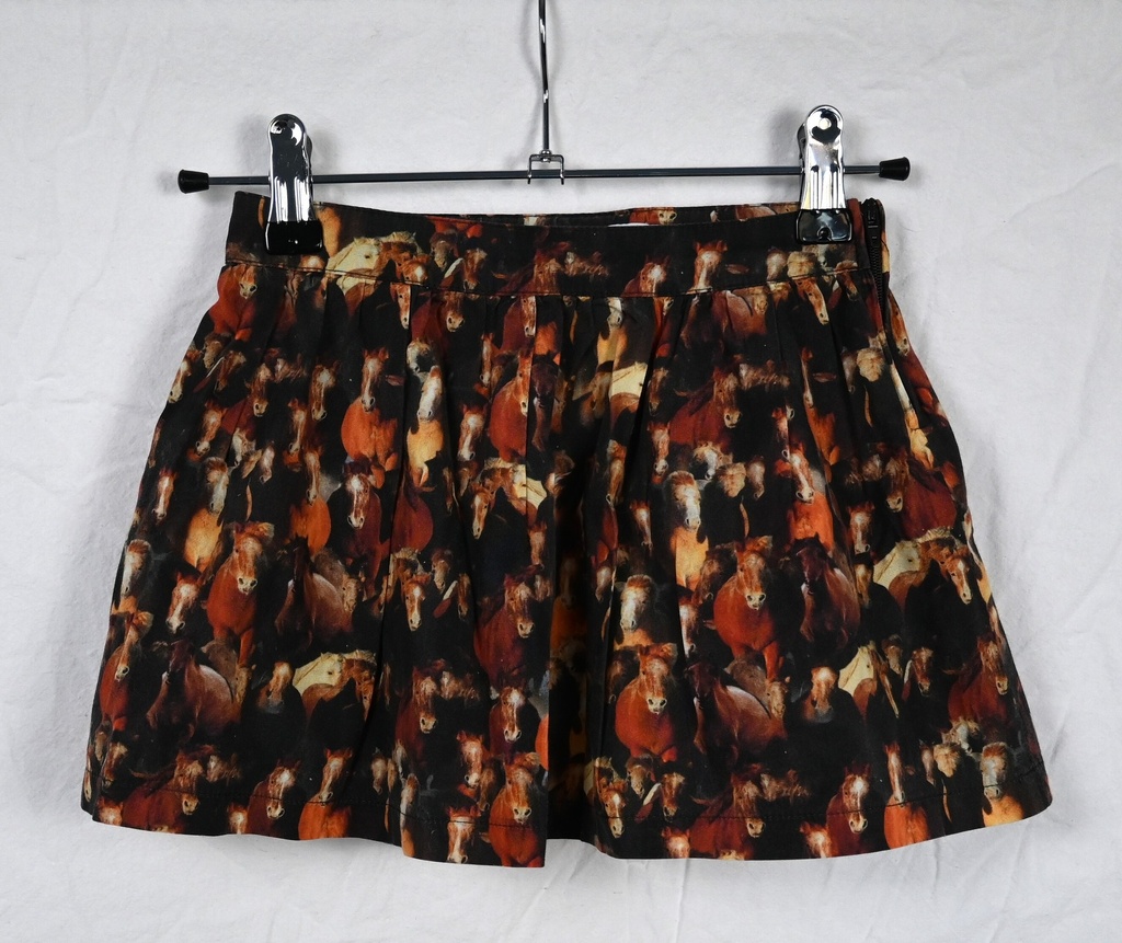 Rok, Filou & Friends, 4 jaar