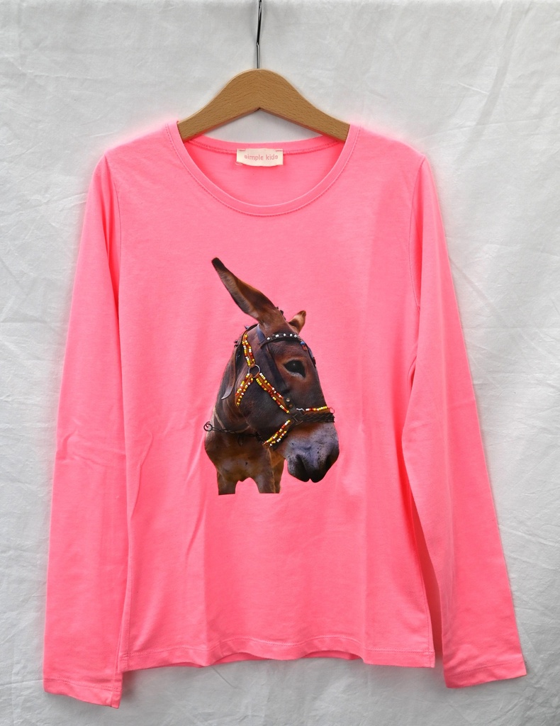 Longsleeve T-shirt, Simple Kids, 12 jaar - PI