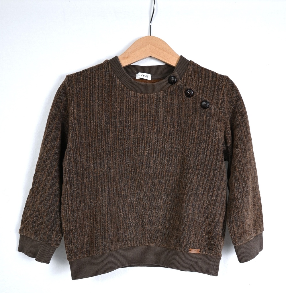 [EDH005] Trui, GYMP, 4 jaar - PI