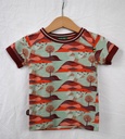 T-shirt, 4 funky flavours, 18/24 maanden