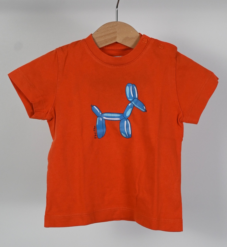 [DRO064] T-shirt, P'tit Filou, 1 jaar