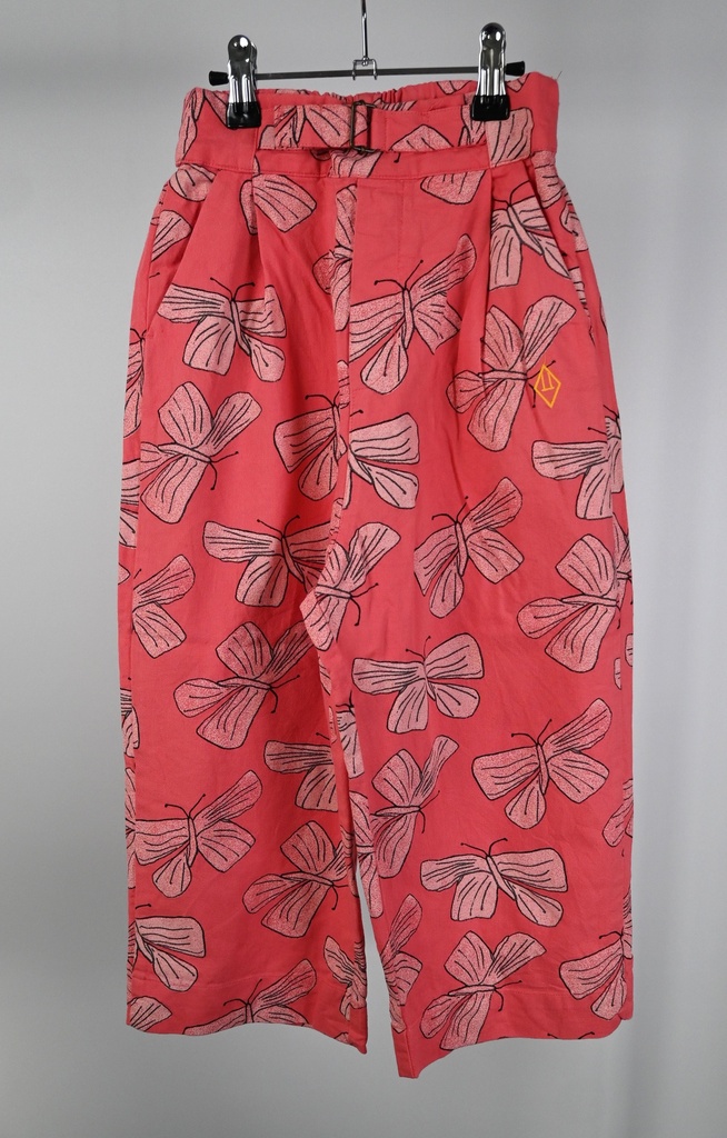 [SDE214] Broek, The Animal Observatory, 8 jaar - PI