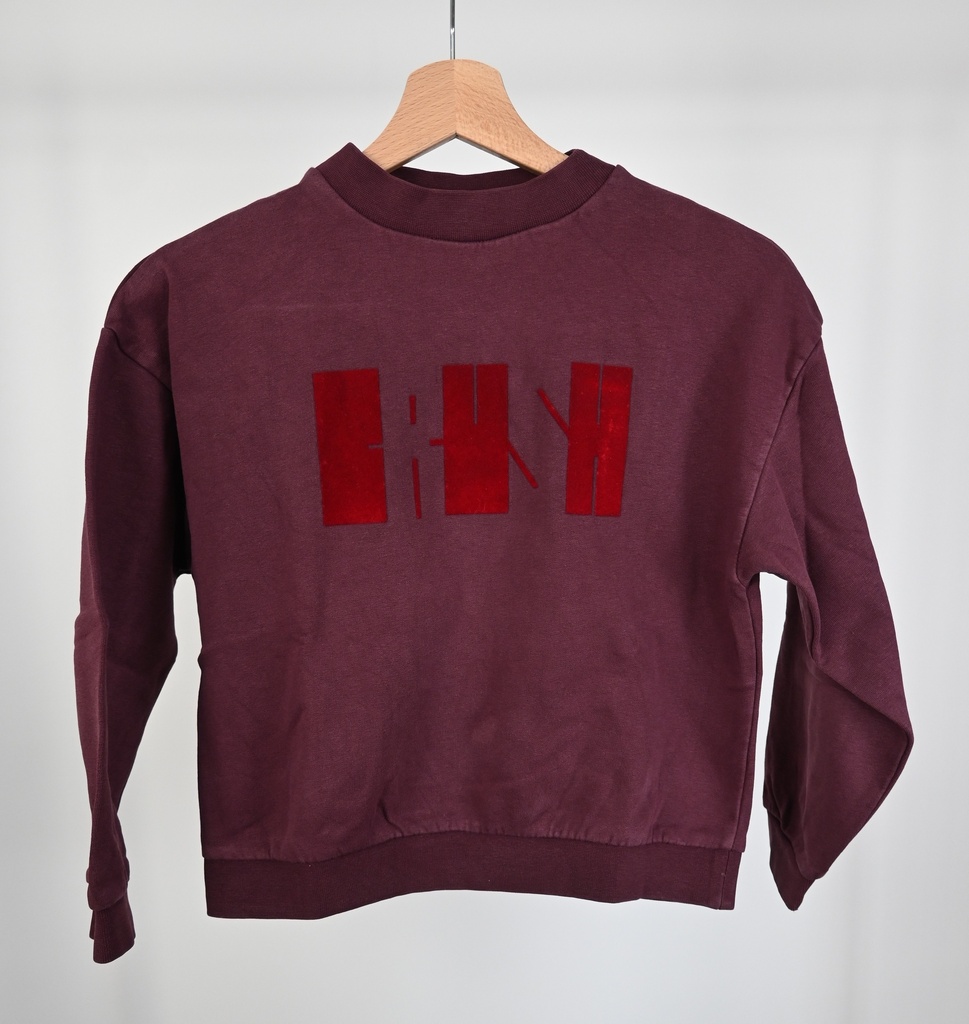 [LVB029] Sweater, CKS, 10 jaar - PI