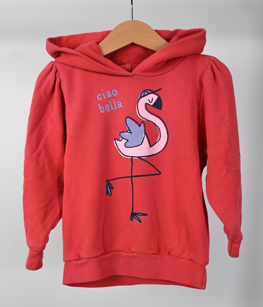 [LNO097] Hoodie, Filou & Friends, 4 jaar - PI